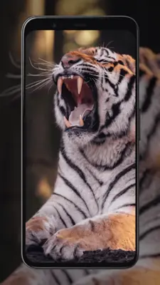 Tiger Wallpapers android App screenshot 0